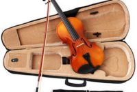 harga biola Paesold Violin Outfit PA802 terbaru